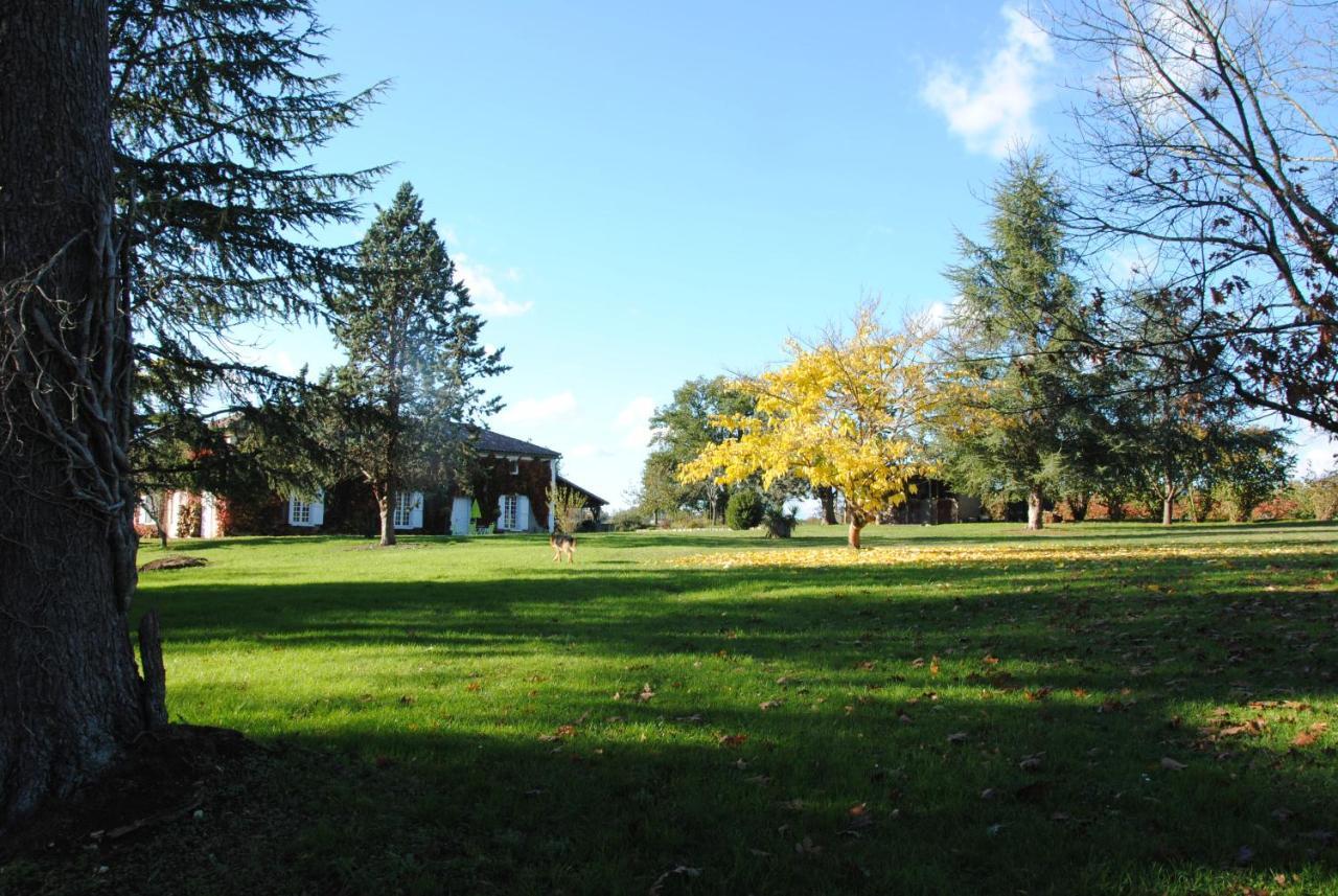 Le Chateau De Roquebere Condom Exterior foto